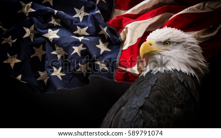 American Bald Eagle - symbol of america -with flag. United States of America patriotic symbols. Royalty-Free Stock Photo #589791074