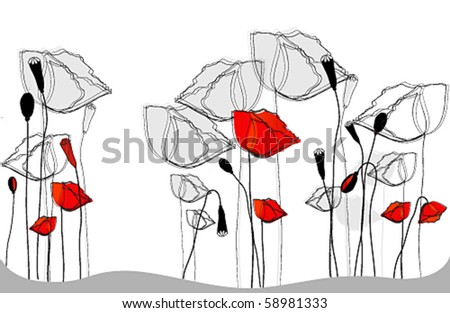 Vector beautiful poppies illustration