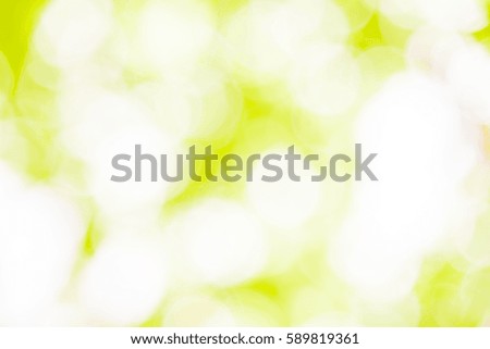 Yellow and white bokeh from natural