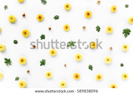 floral texture with yellow chrysanthemum flower and green branches. Flat lay, top view