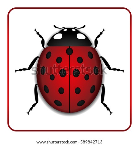 Ladybug small icon. Red lady bug sign, isolated on white background. 3d volume design. Cute colorful ladybird. Insect cartoon beetle. Symbol of nature, spring or summer. illustration