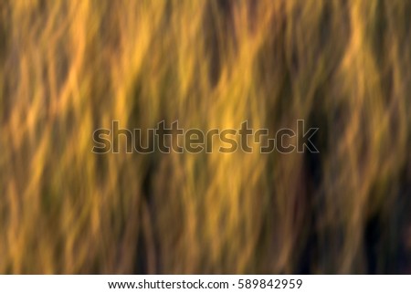 Natural Background Royalty-Free Stock Photo #589842959
