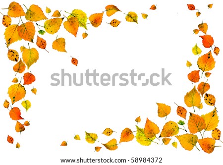 border frame of colored autumn falling leaves surface decor isolated on white