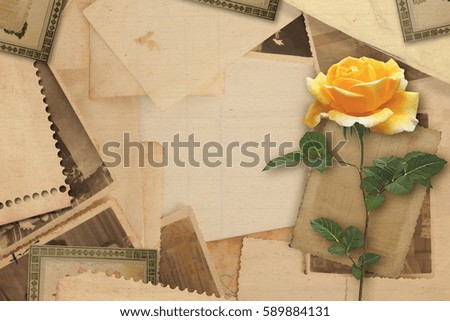 Old vintage archive with photos, letters and yellow roses