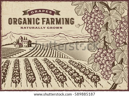Grapes Organic Farming Landscape. Editable EPS10 vector illustration in retro woodcut style with clipping mask and transparency.
