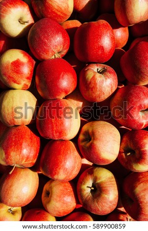 Lots of juicy red apples. Background