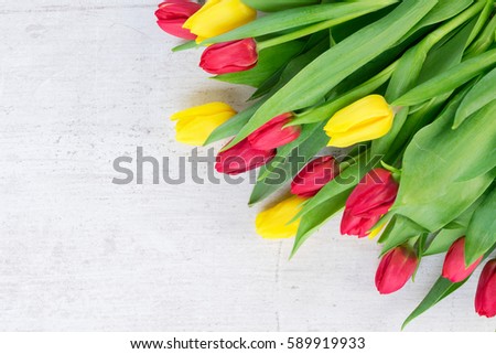 yellow and red tulips flowers with green leaves on white aged background