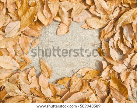 Abstract autumnal background with dry leaves.Fall season greeting 