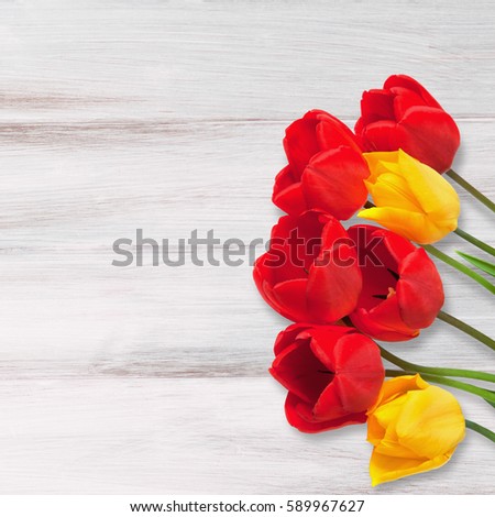 Amazing Blank Card for Easter, March 8, valentines day, mothers day. Red and yellow tulips flowers on white wooden background. Top view, Flat lay.