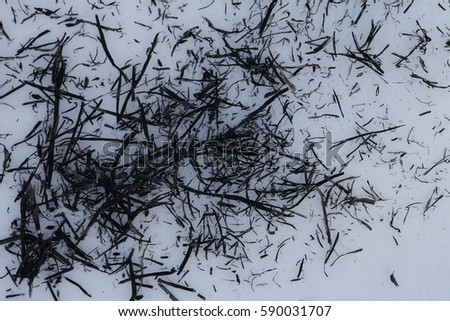 the ashes of grass in snow background texture abstract
