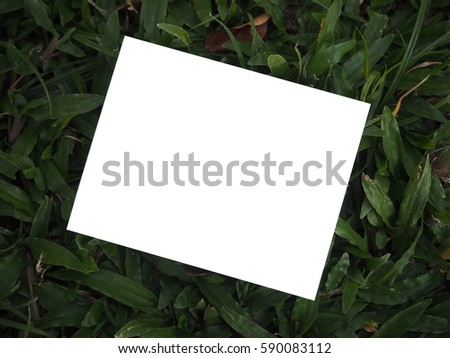 Blank photo and green background