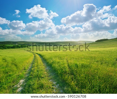 Road lane and deep blue sky. Nature design. Royalty-Free Stock Photo #590126708