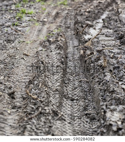Bike tracks in the mud