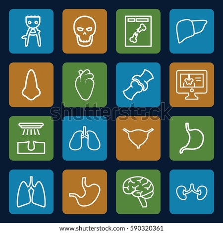 anatomy icons set. Set of 16 anatomy outline icons such as nose, hair removal, stomach, liver, heart organ, lungs, brain, kidney, bladder, bone, x ray, x-ray on display