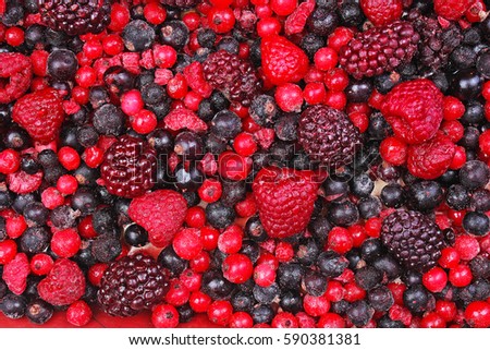 Mixed berries as background. Blueberries,raspberries black berries and currant mulberry texture pattern. Frozen red and black berries.
