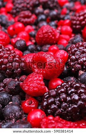 Mixed berries as background. Blueberries,raspberries black berries and currant mulberry texture pattern. Frozen red and black berries.
