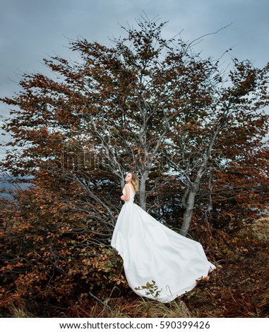 The beautiful bride stands on the branches of tree