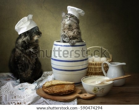 Cats in the kitchen