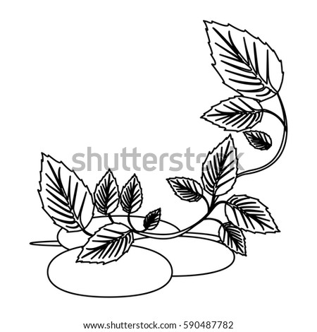 figure spa volcanic rocks with branches and leaves, vector illustraction design