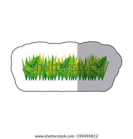 color grass with leaves icon, vector illustraction design image