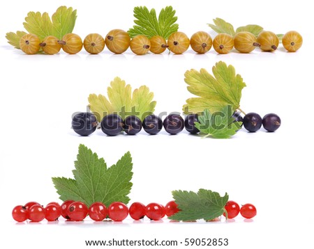 Color photo of pile of different berries