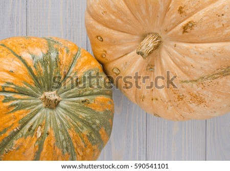 Pumpkin on blue wooden background. Season picture.