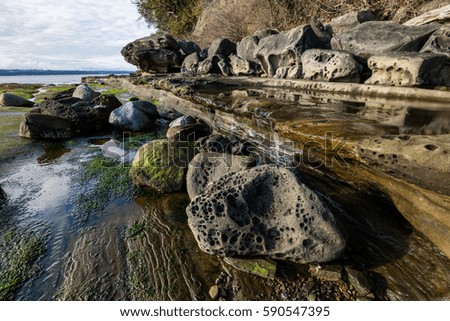 Beautiful nature landscape view on a rocky shore during a sunny winter day. Picture taken in Hornby Island, British Columbia, Canada.