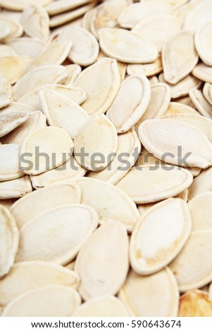 Pumpkin seed texture. Pumpkin seeds pattern as background.