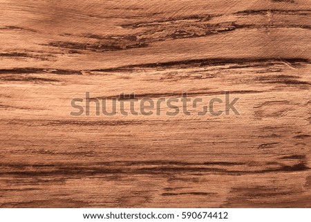 tree bark texture close up , old wood