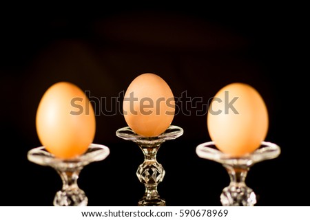 Egg on dark background