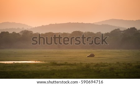 Safari Off-road vehicle at golden sunset with grassland and mountain at Yala National Park, Sri Lanka