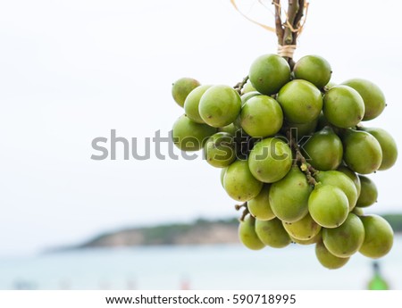 Fruit/Island Fruit 
