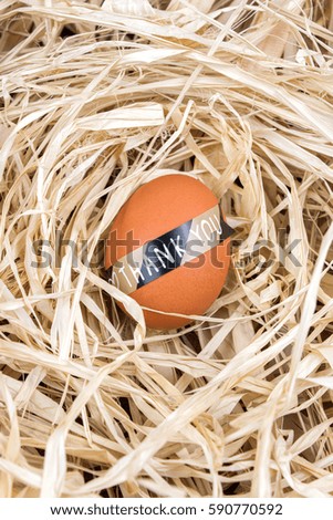 Brown egg in a nest with message "Thank you".