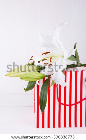 Bouquet of white lilies in striped shopping bag on white background.