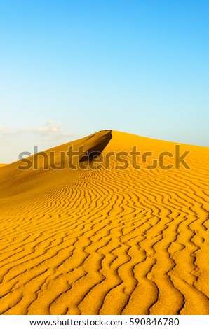 This picture was taken in the dunes of Maspalomas, Gran Canaria, Canary Islands.