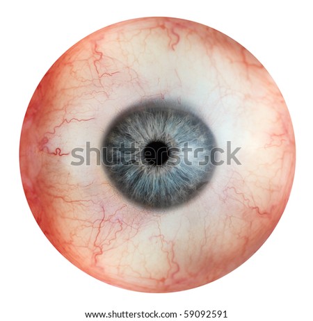 close up view of eyeball Royalty-Free Stock Photo #59092591