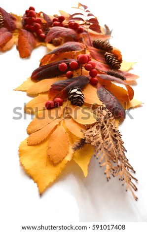 Frame, a corner of autumn leaves and fruits