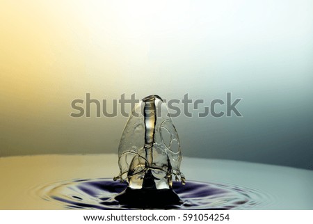 Falling drops of water. Splash effect after collision a falling drops with water Surface