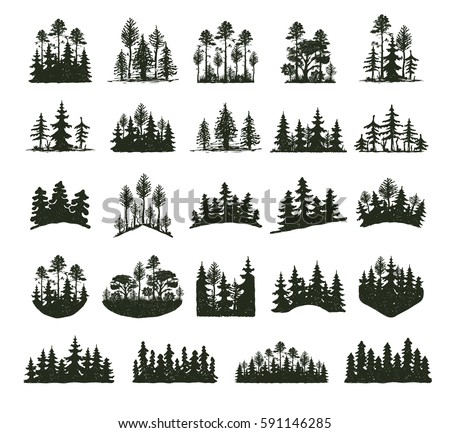 Tree outdoor forest black silhouette coniferous natural badges, treetops pine spruce branch cedar and plant leaf abstract stem drawing vector illustration.