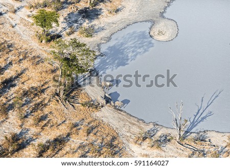 Okavango delta (Okavango Grassland) is one of the Seven Natural Wonders of Africa. A herd of elephants goes to the watering hole (view from the airplane) - Botswana, South-Western Africa 