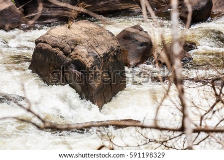 A big rock in the middle of river in forest
