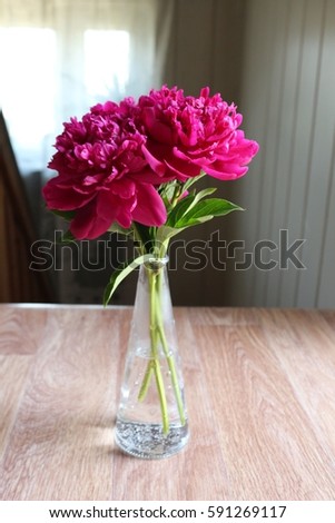 Bright crimson peonies in a clear vase.