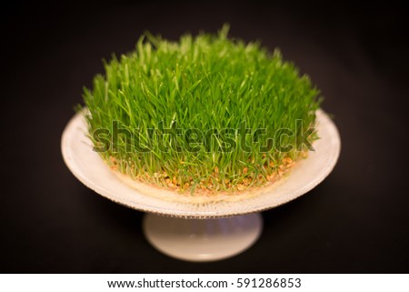 Traditional fresh green grass samani - symbol of spring and Novruz
