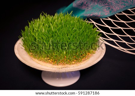 Traditional fresh green grass samani - symbol of spring and Novruz
