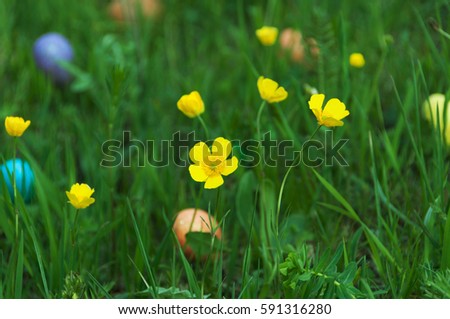 Spring flower meadow with Easter eggs. image blurred.