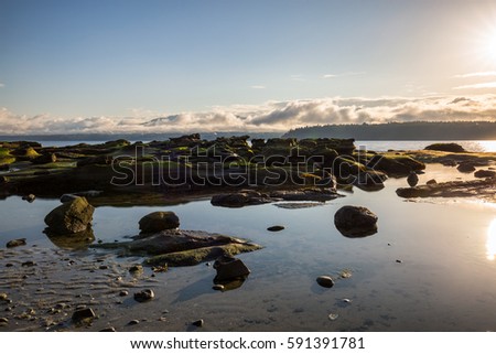 Beautiful nature landscape view on a rocky shore during a sunny winter sunset. Picture taken in Hornby Island, British Columbia, Canada.