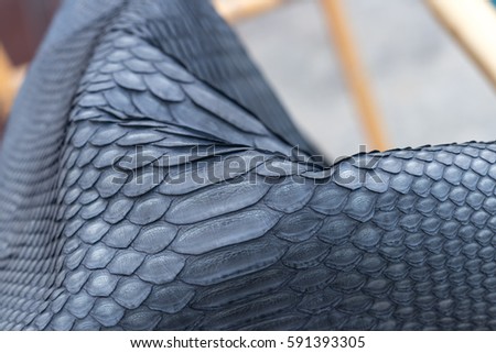 Genuine python snakeskin leather, snake skin, texture background. Swimming pool on a background.
