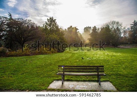 Bench in the Park - Vancouver - CANADA - British Columbia