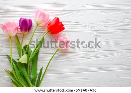 Mother's Day,woman's day. tulips  on white wooden background.space for your text Royalty-Free Stock Photo #591487436