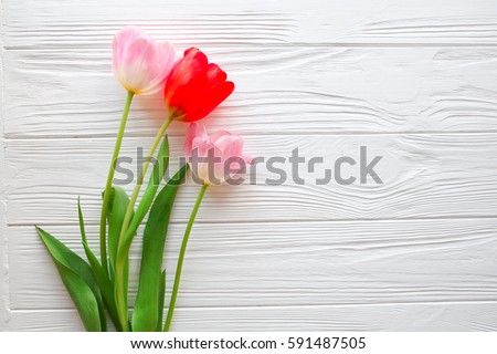 Mother's Day,woman's day. tulips  on white wooden background.space for your text Royalty-Free Stock Photo #591487505